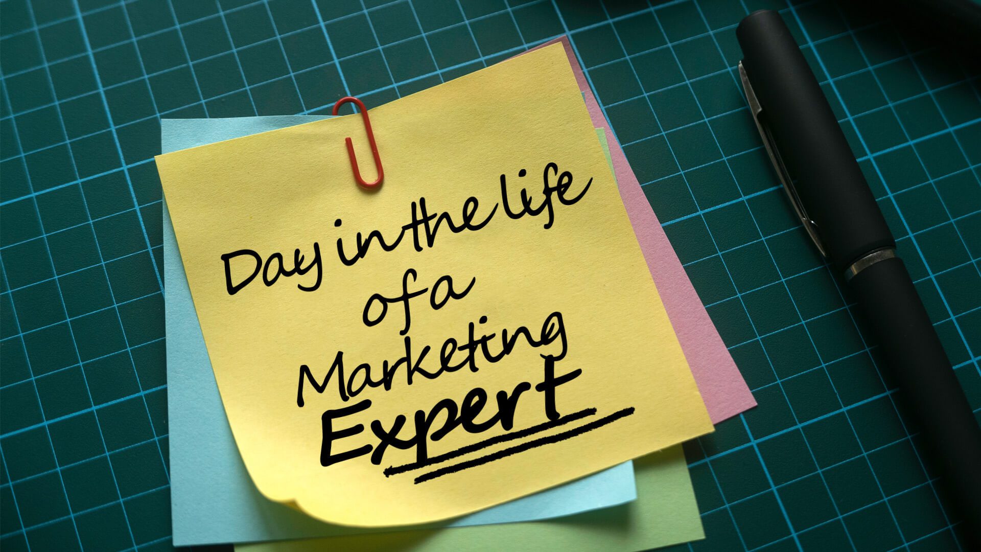 A Day in the Life of a Marketing Expert